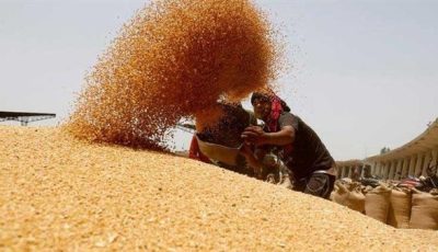 التدخل الفوري لحل أي معوقات