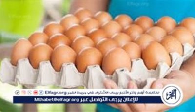 أسعار طبق البيض اليوم الجمعة 30-5-2025 في قنا