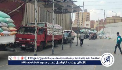 محافظ الدقهلية:توريد 263 ألف طن قمح محلي بمراكز التوريد والتخزين منذ بداية موسم الحصاد