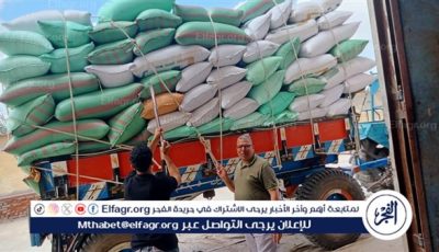 توريد أكثر من 229 ألف طن قمح بـ14 موقعًا في الفيوم خلال موسم 2025