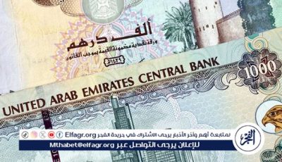 سعر الدرهم الإماراتي في البنك المركزي المصري اليوم 19/6/2025