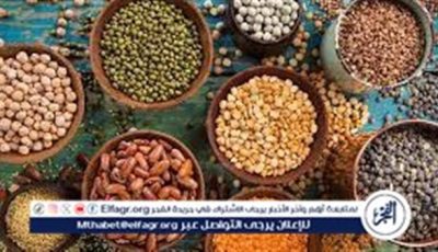 أسعار البقوليات اليوم الأحد الموافق 15-6-2025 فى سوهاج