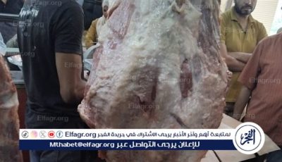تحرير 17 محضر ذبح خارج السلخانة فى الغربية