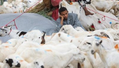 الأضاحي والملابس خارج قدرة المواطنين