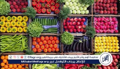 أسعار الخضروات اليوم الخميس 5-6-2025 في الدقهلية