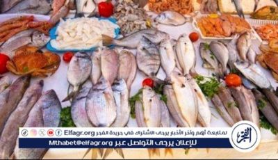 اسعار السمك اليوم الاربعاء 4-6-2025 في الدقهلية