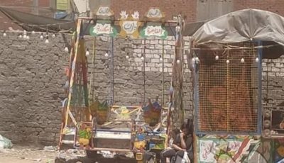 إصابة 3 أطفال إثر سقوط «مرجيحة» في قرية نواج بالغربية