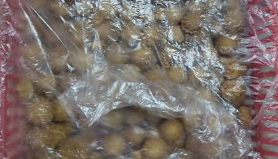 ضبط 220 كجم “بيتي فور” غير صالح للاستهلاك الآدمي بالقليوبية