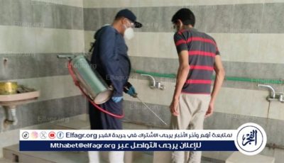 صحة أسيوط تكثف حملاتها لمكافحة ناقلات الأمراض لمواجهة بؤر توالد الحشرات