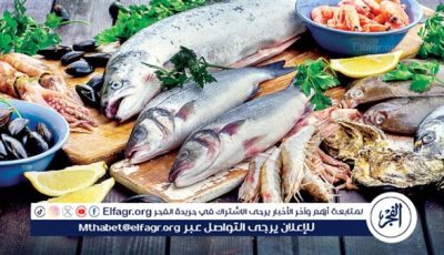 أسعار السمك اليوم الاثنين 9-6-2025 في محافظة قنا