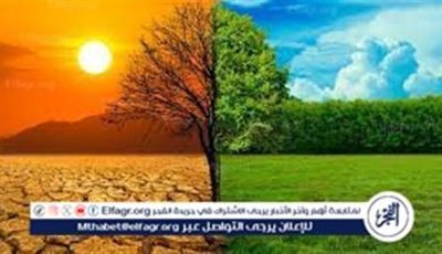 لا تطرف مناخي.. خبير بيئي يطمئن المصريين بشأن طقس صيف 2025