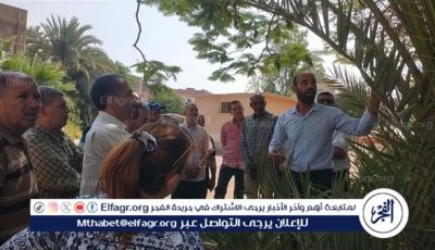 زراعة الفيوم تنظم دورة تدريبية متخصصة حول استخدام جهاز علاج سوسة النخيل الحمراء