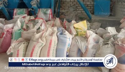 لا عجز في خامات الأعلاف والسوق يشهد استقرارًا في اللحوم والدواجن