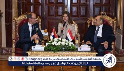 «لتعزيز سبل التعاون المشترك».. تفاصيل استقبال المستشار عبدالوهاب عبدالرازق رئيس وزراء جمهورية صربيا