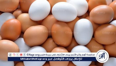 أسعار طبق البيض اليوم الخميس 19-6-2025 في قنا