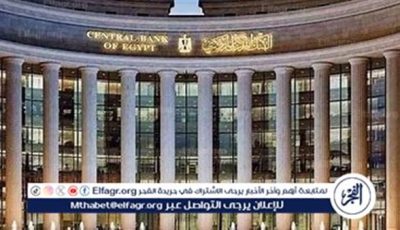 قواعد ترخيص وتسجيل مشغلي نظم الدفع ومقدمي خدمات الدفع