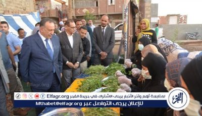 محافظ أسيوط يتفقد مشروعات التكتلات الاقتصادية بمركز أبنوب