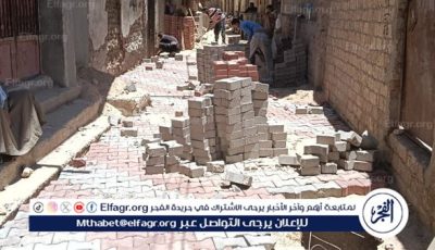 تركيب بلاط الإنترلوك بالشوارع الضيقة بمنطقة الوليدية بحي شرق أسيوط