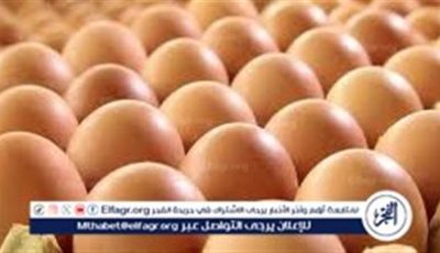 أسعار طبق البيض اليوم السبت 21-6-2025 في الدقهلية