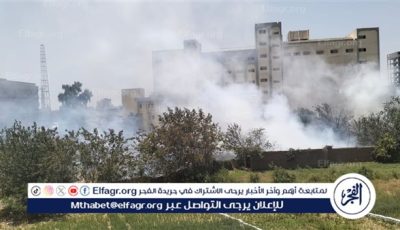 السيطرة على حريق بجوار مديرية الصحة ومطاحن الدقيق ببني سويف