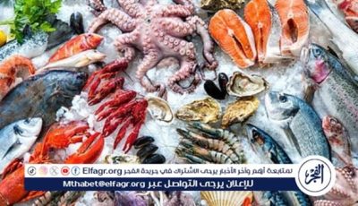 أسعار المأكولات البحرية والجمبري اليوم الاربعاء 25-6-2025 في محافظة قنا