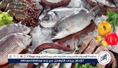أسعار السمك اليوم الثلاثاء 24-6-2025 في محافظة قنا