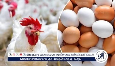 أسعار طبق البيض اليوم الاثنين 23-6-2025 في الدقهلية