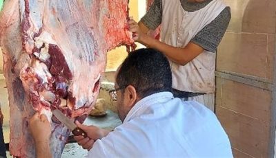 ذبح 2202 أضحية للمواطنين بمجازر الجيزة خلال اليوم الأول والثاني لعيد الأضحى