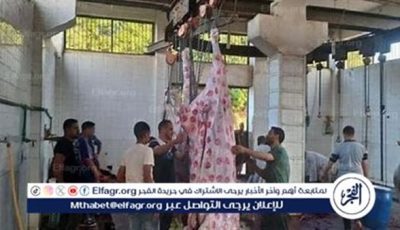 محافظة الجيزة تفتح المجازر مجانًا للمواطنين خلال عيد الأضحى.. تعرف على العناوين