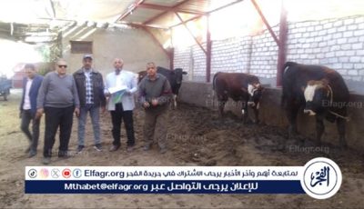 “الزراعة تطلق خطة شاملة لتحسين سلالات الماشية ورفع كفاءة الإنتاج الحيواني