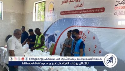 وكيل تضامن الأقصر يتابع أعمال ذبح وتوزيع اضاحى الجمعيات الأهلية للأسر الأكثر إحتياجًا |تفاصيل