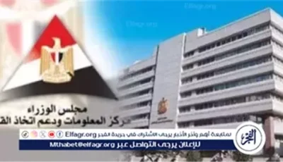 قانون موحّد وكيان رقابي واحد يضبط تداول الغذاء بمصر