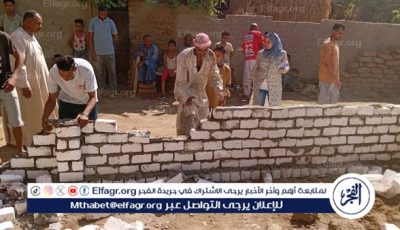لا تهاون مع التعديات.. إزالة فورية لبناء مخالف بدندرة