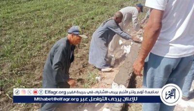محلية نجع حمادي تواصل حملاتها لرصد مخالفات البناء ورفع الإشغالات خلال العيد