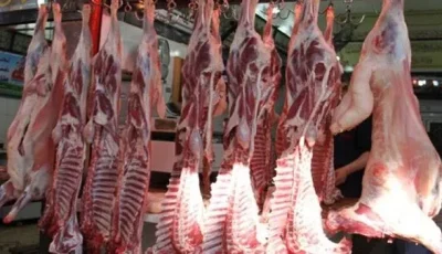 أسعار اللحوم الجملي والضاني اليوم الثلاثاء 3-6-2025 في الأسواق ومحال الجزارة بقنا