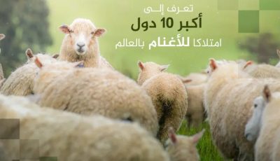 أكبر 10 دول في امتلاك الأغنام عالميًا.. بلد عربي في القائمة