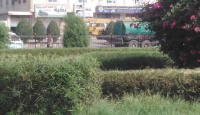 عدن تتألق من جديد.. حملة نظافة تعيد للمدينة بريقها!