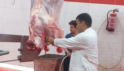 فتح 23 مجزرًا مجانًا للمواطنين خلال عيد الأضحى بالجيزة.. تعرف على أماكنهم