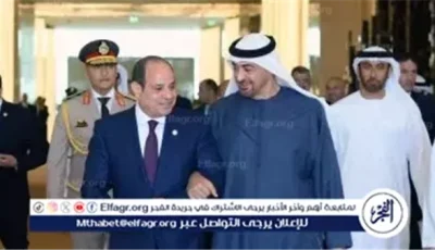 بن زايد يشيد بدور مصر المحوري في الأزمة الفلسطينية ويؤكد دعم جهودها لوقف إطلاق النار بغزة